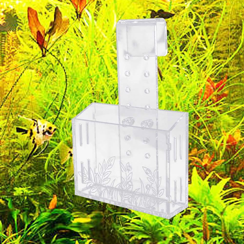 Aquarium Planted Wall - Pot de plantes aquatiques suspendu au
