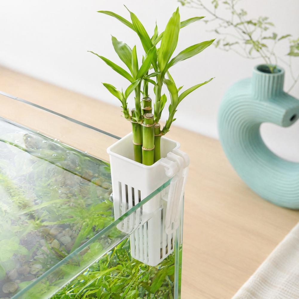 Aquarium Planted Wall - Pot de culture hydroponique mural pour
