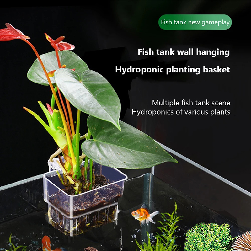 Aquarium Planted Wall - Nouveau support mural pour plantes aquatiques,