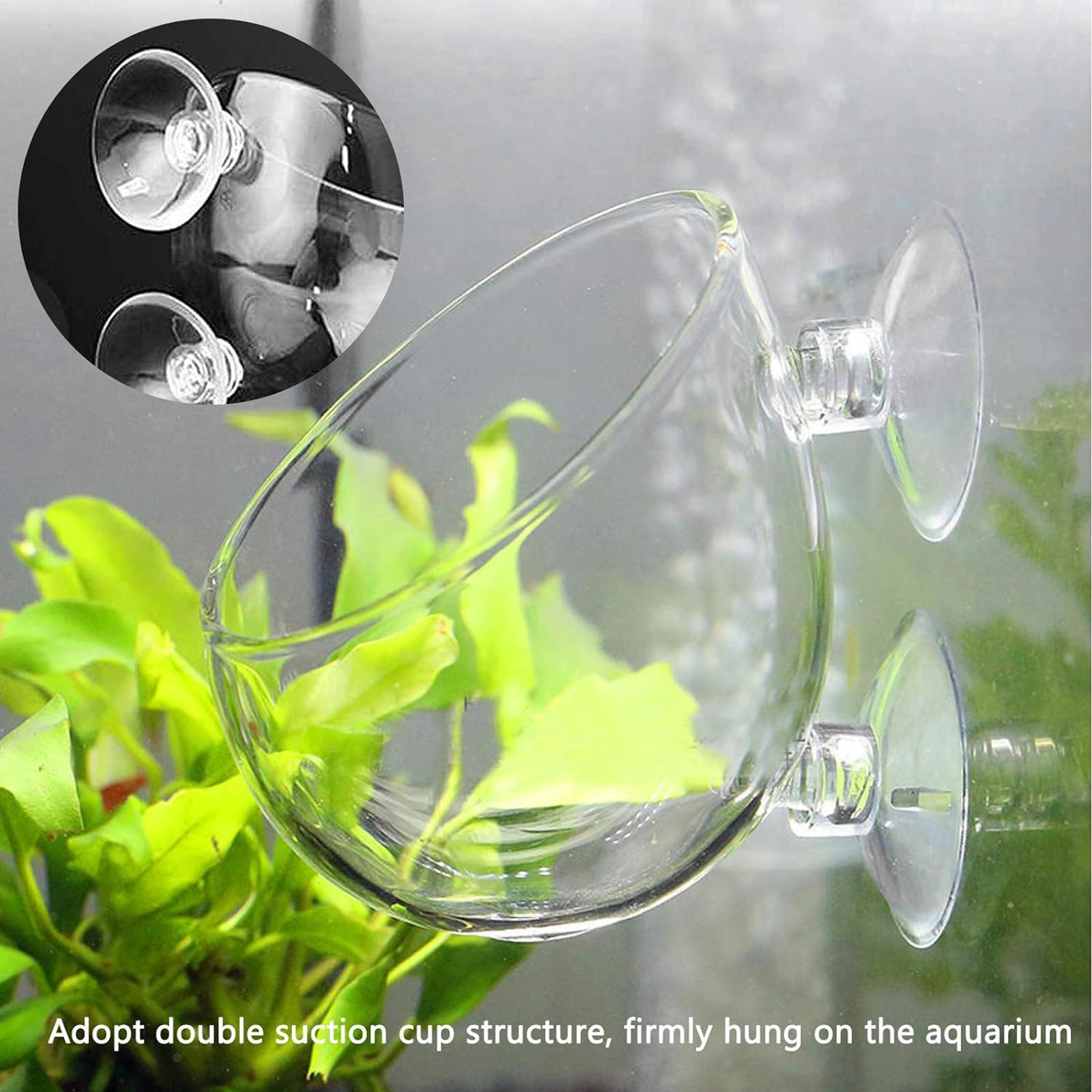 Planted Aquarium Maintenance - Pot de plantes en verre pour
