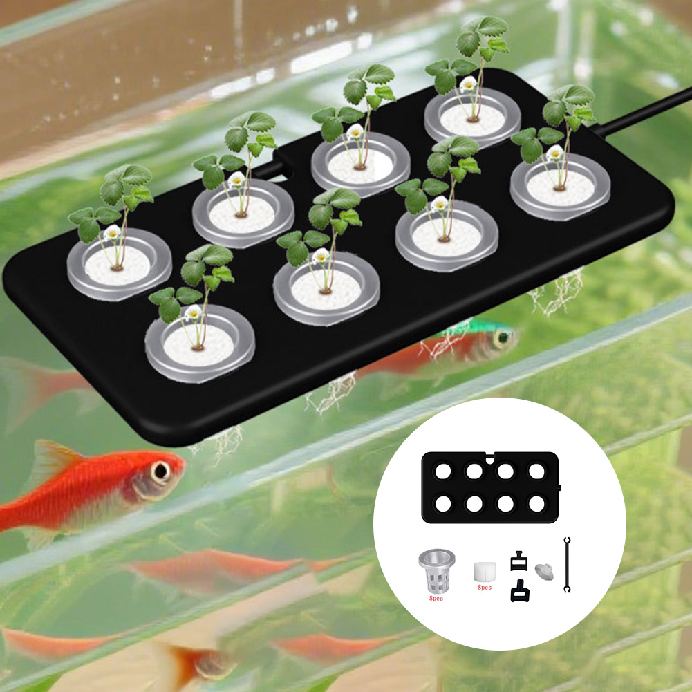 Aquarium Planted Wall - Planche de plantation flottante aquatique, panier