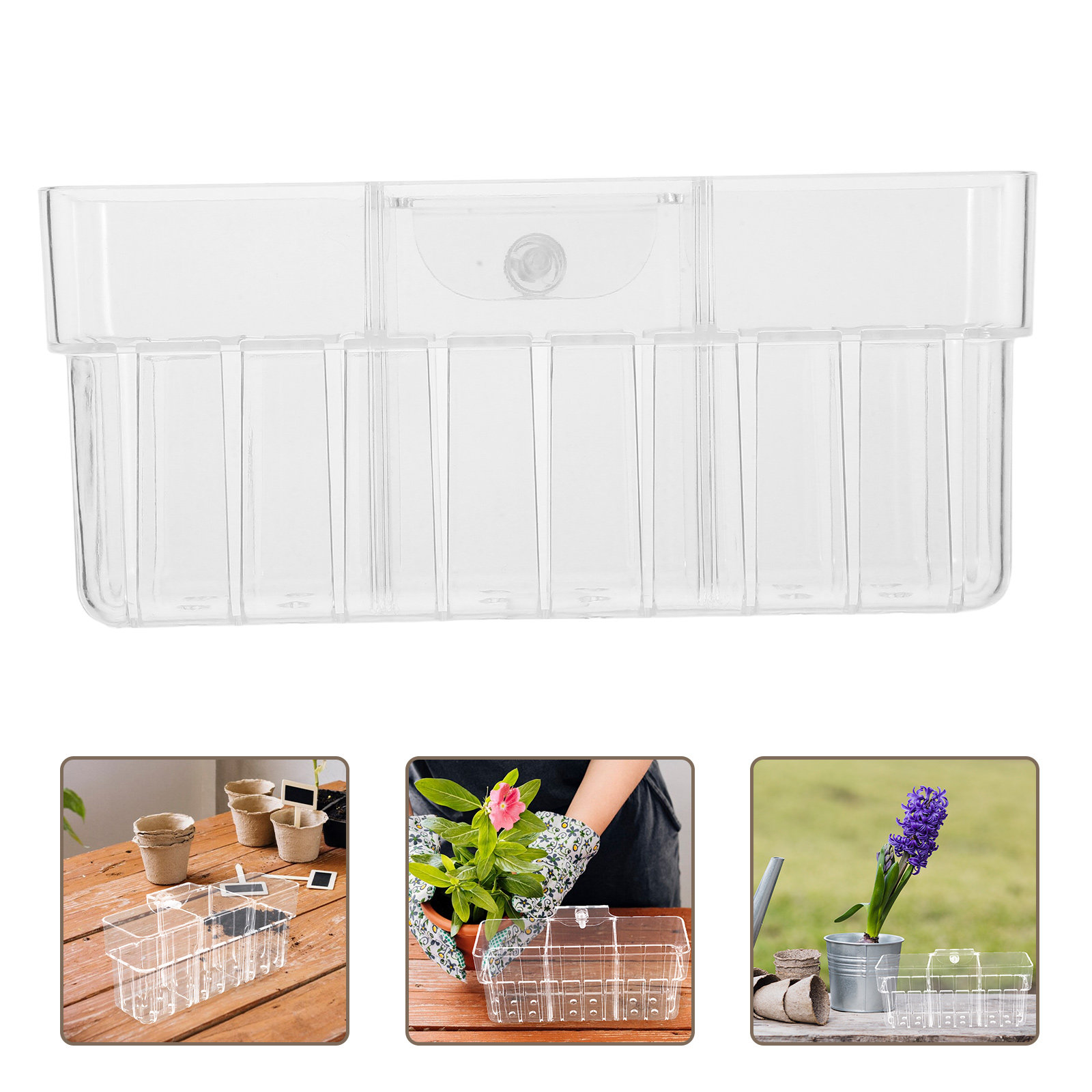 Aquarium Planted Wall - Panier hydroponique transparent à trois compartiments,