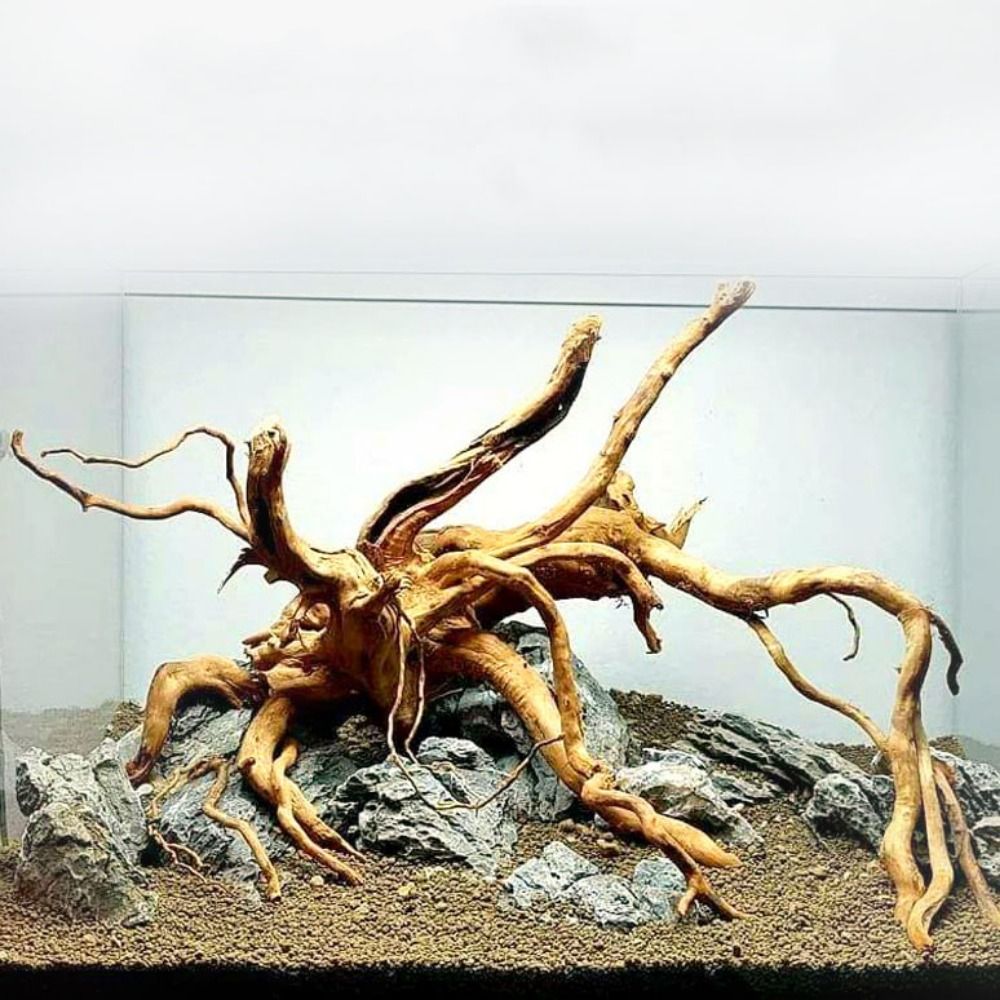 Aquarium Plant Roots - Tronc d'arbre naturel pour décoration d'aquarium,