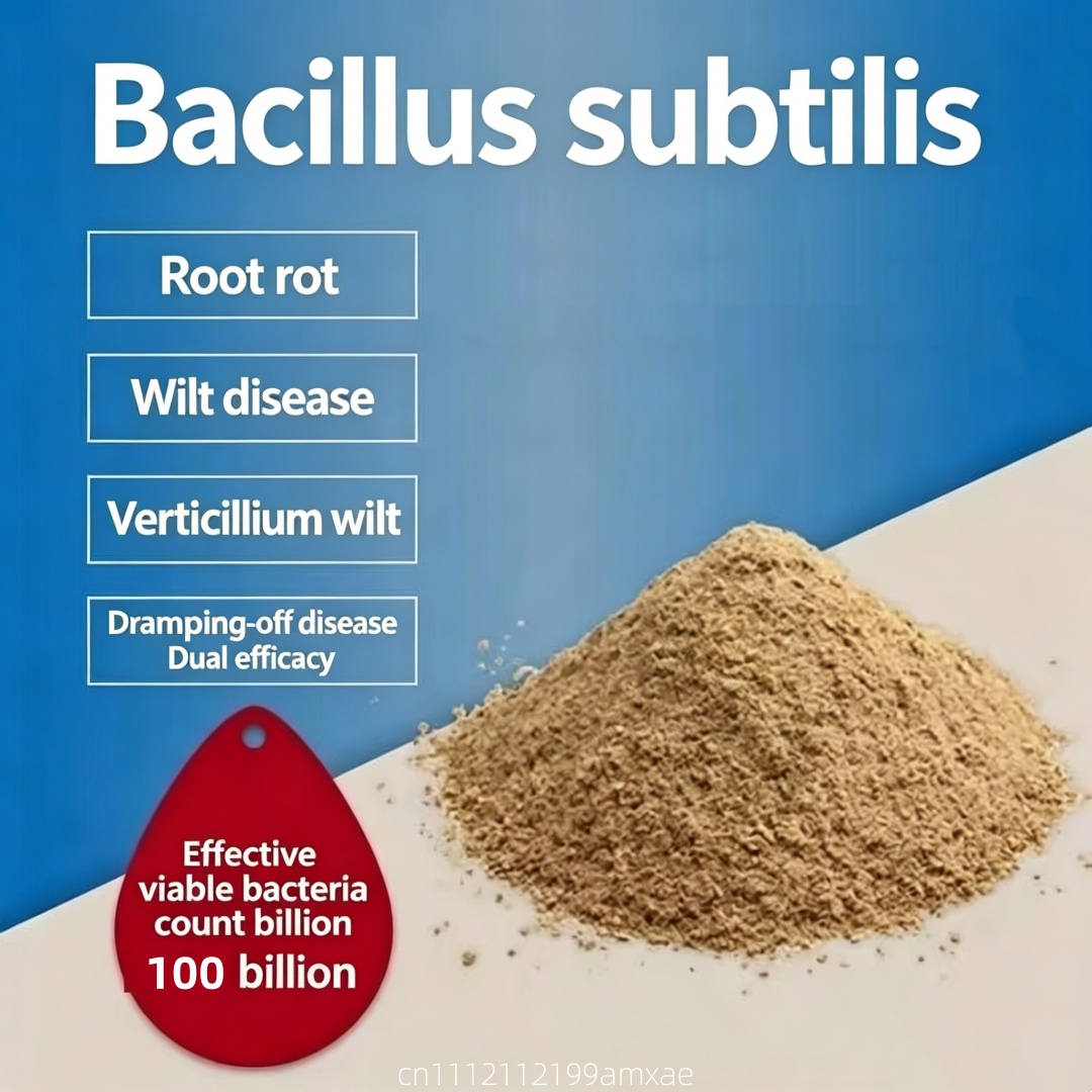 Aquarium Plant Roots - Poudre de Bacillus Subtilis à haute