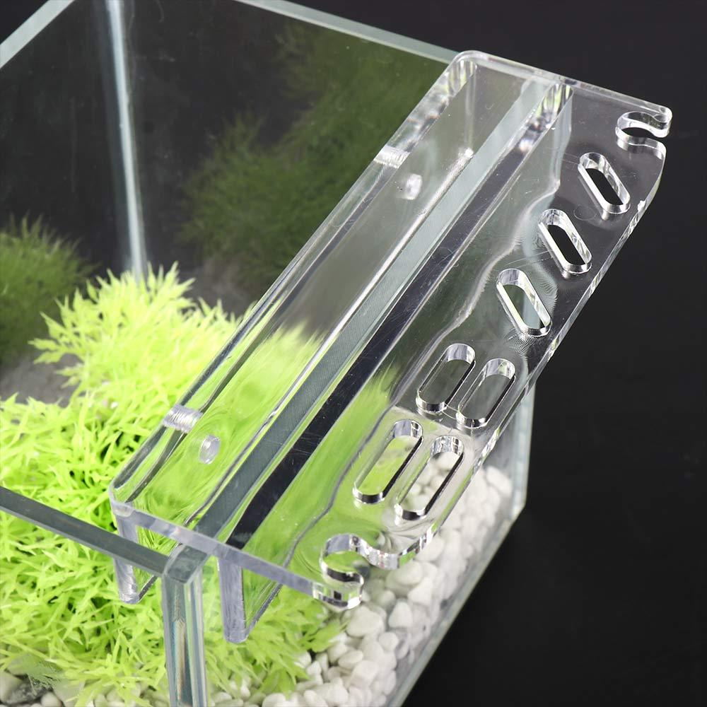 Planted Aquarium Maintenance - Support de rangement pour accessoires d'entretien