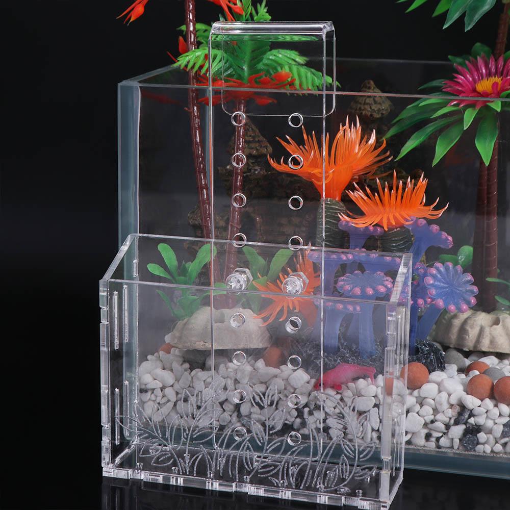 Aquarium Planted Wall - Pot de culture mural pour plantes