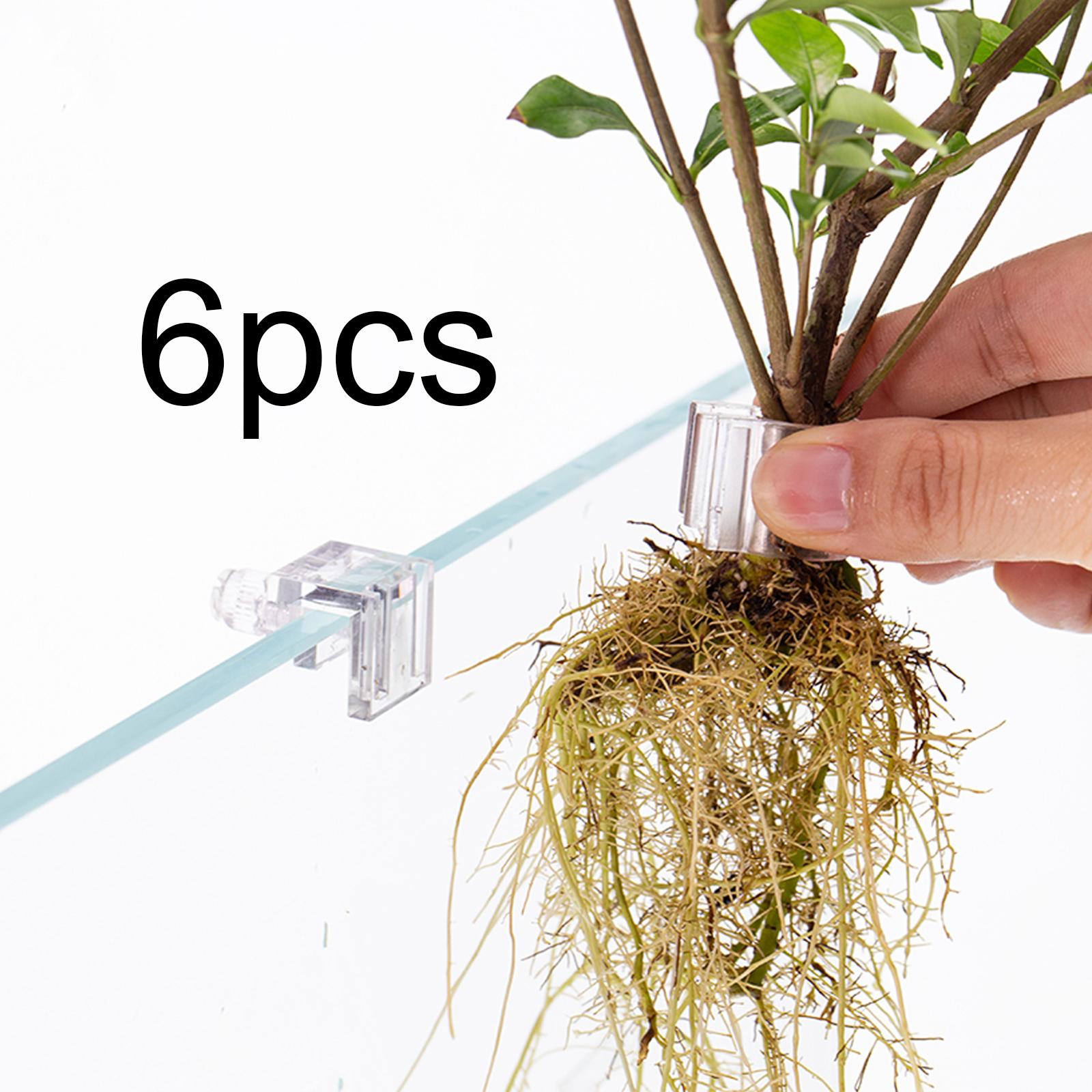 Aquarium Planted Wall - Support de Plantes Transparent Durable pour
