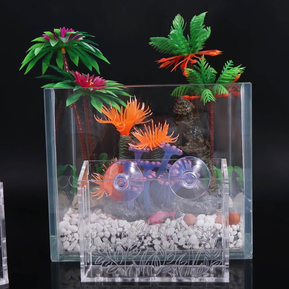Pot de plantes aquatiques susp - Aquarium Planted Wall avis et prix