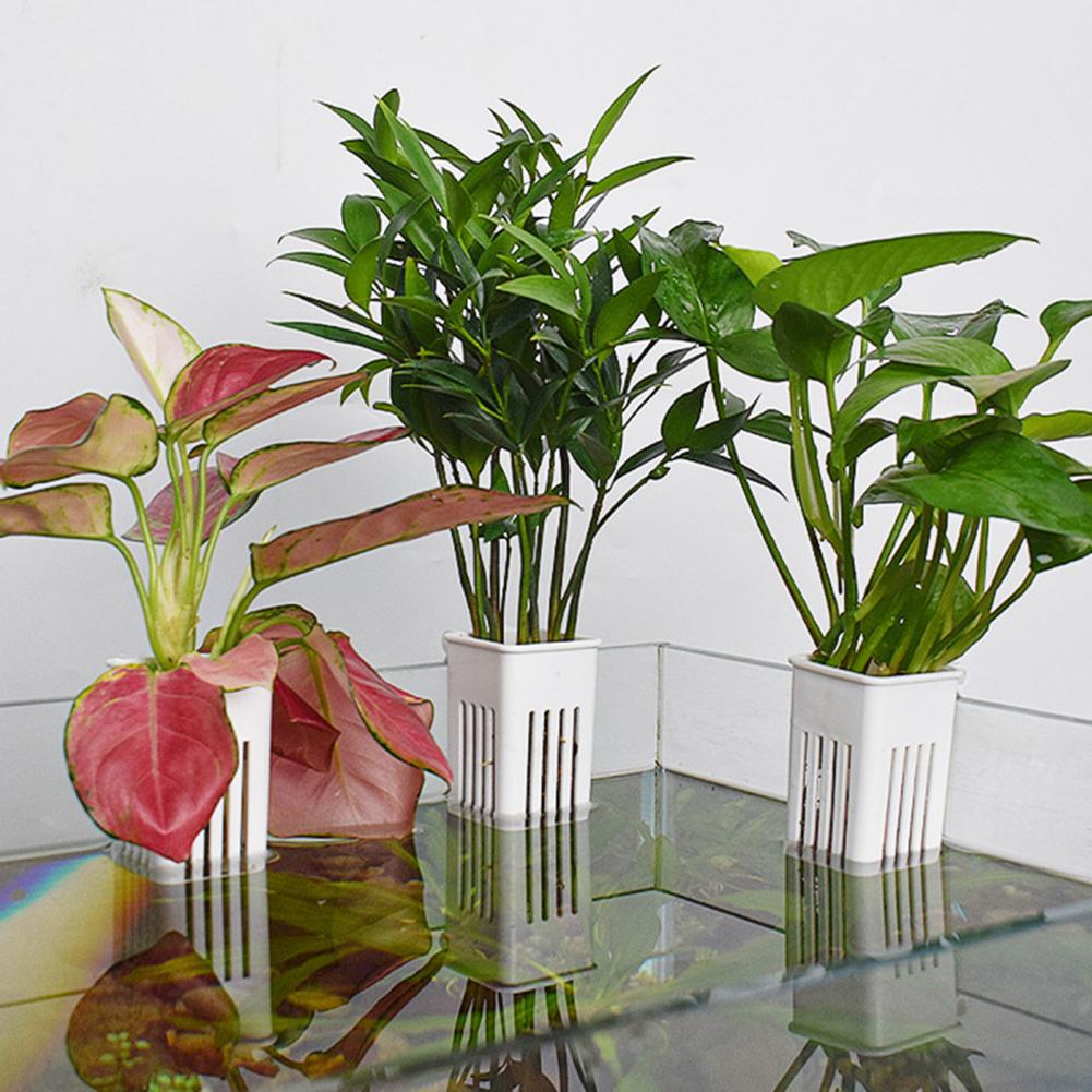 Pot de culture hydroponique mu - Aquarium Planted Wall avis et prix
