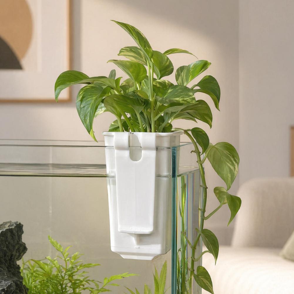 Pot de culture hydroponique mu - Aquarium Planted Wall avis et prix