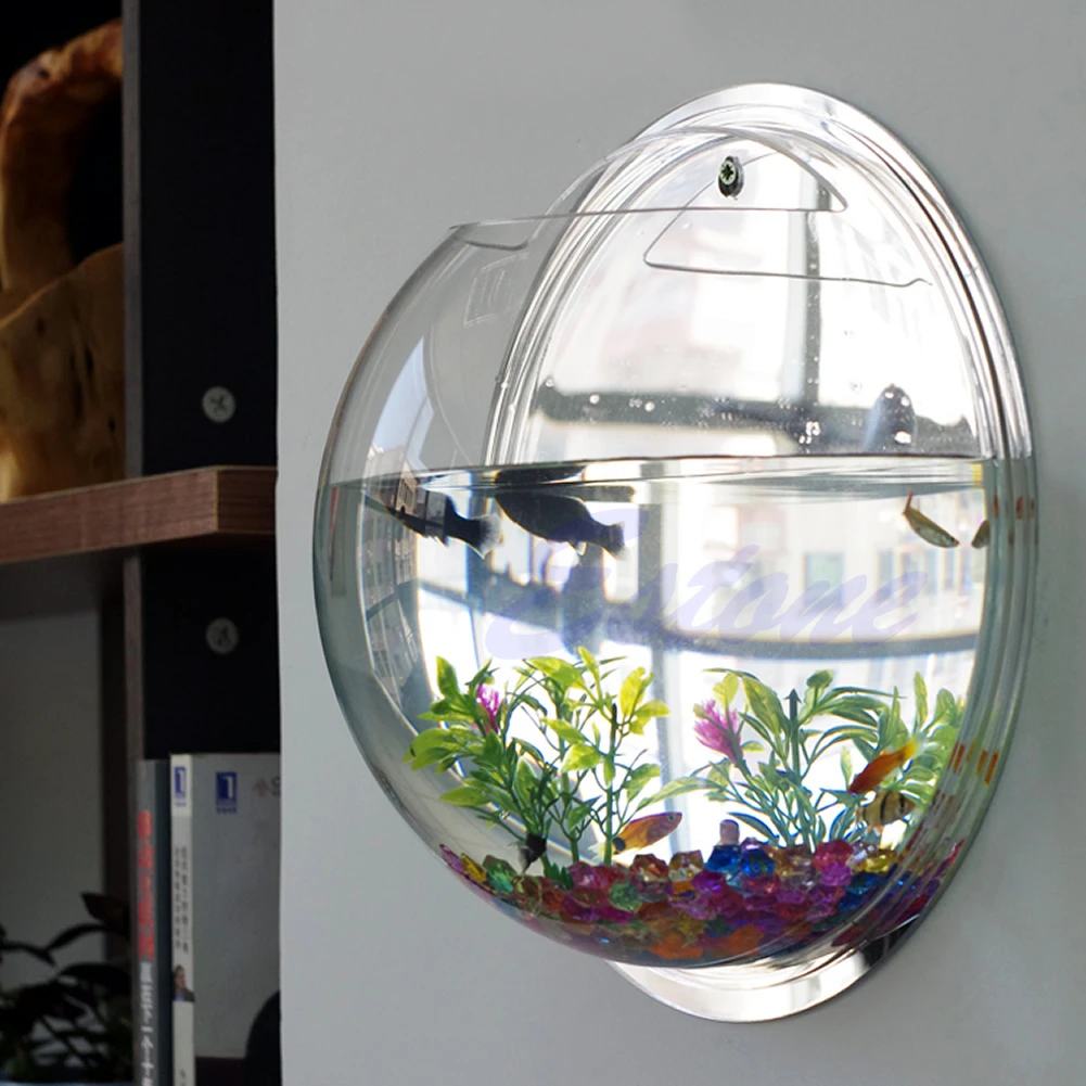 Bol à poisson mural en acryliq - Aquarium Planted Wall avis et prix