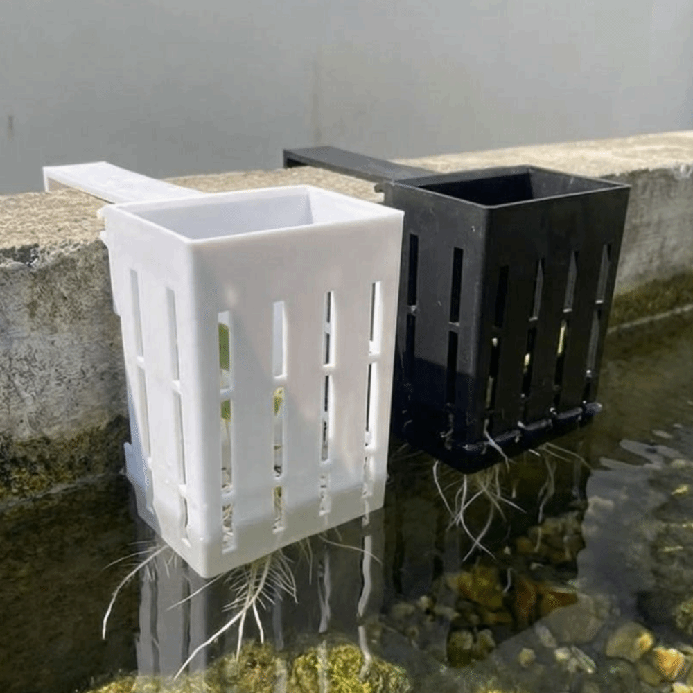 Panier mural pour plantes d'aq - Aquarium Planted Wall avis et prix