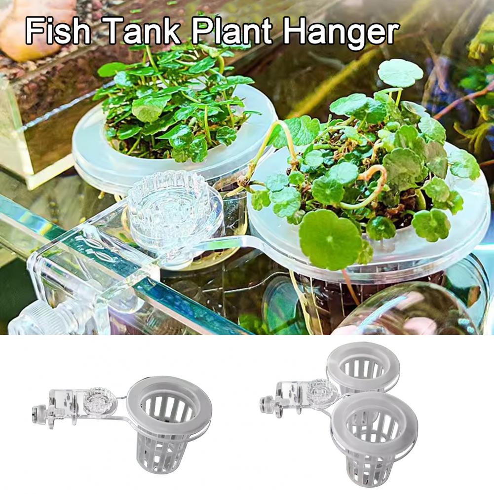 Support mural pour plantes d'a - Aquarium Planted Wall avis et prix