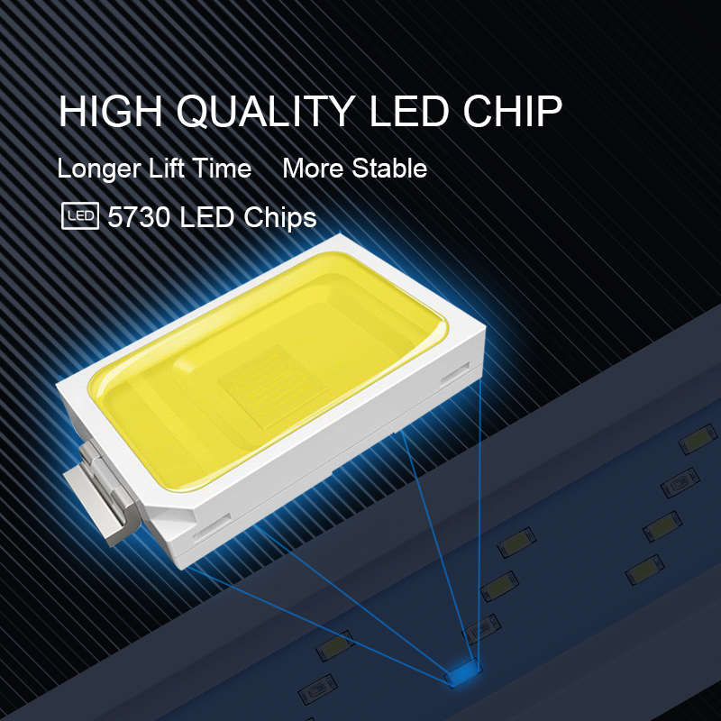 Extensible Étanche Clip sur La - Aquarium Plant Light avis et prix