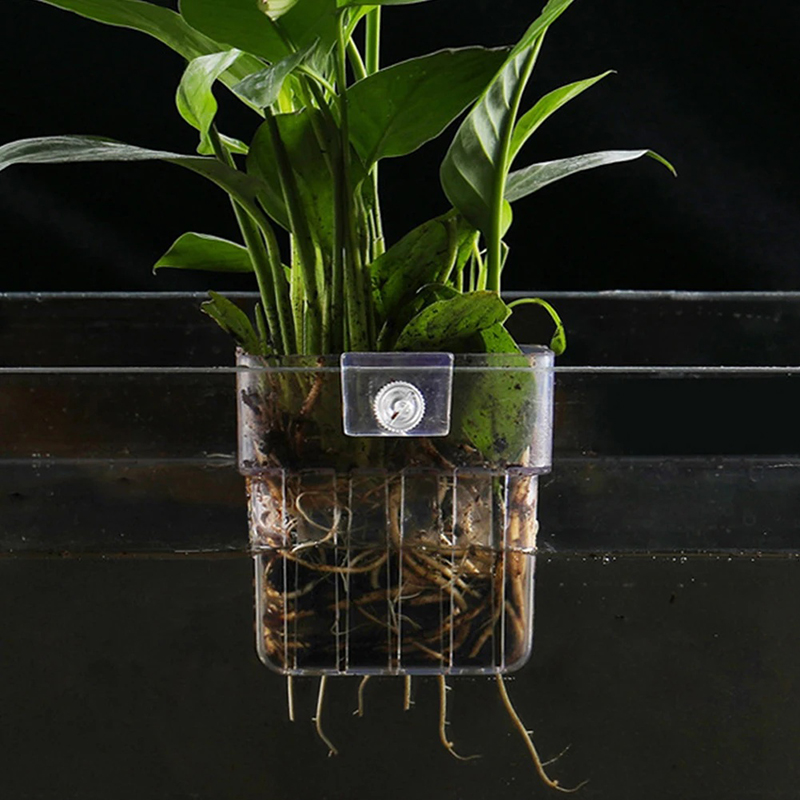 Nouveau support mural pour pla - Aquarium Planted Wall avis et prix