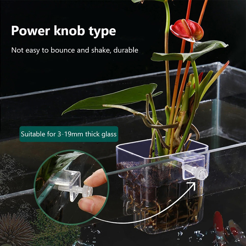 Nouveau support mural pour pla - Aquarium Planted Wall avis et prix