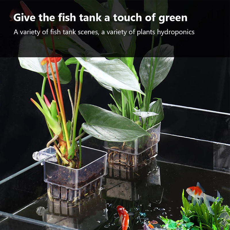 Nouveau support mural pour pla - Aquarium Planted Wall avis et prix