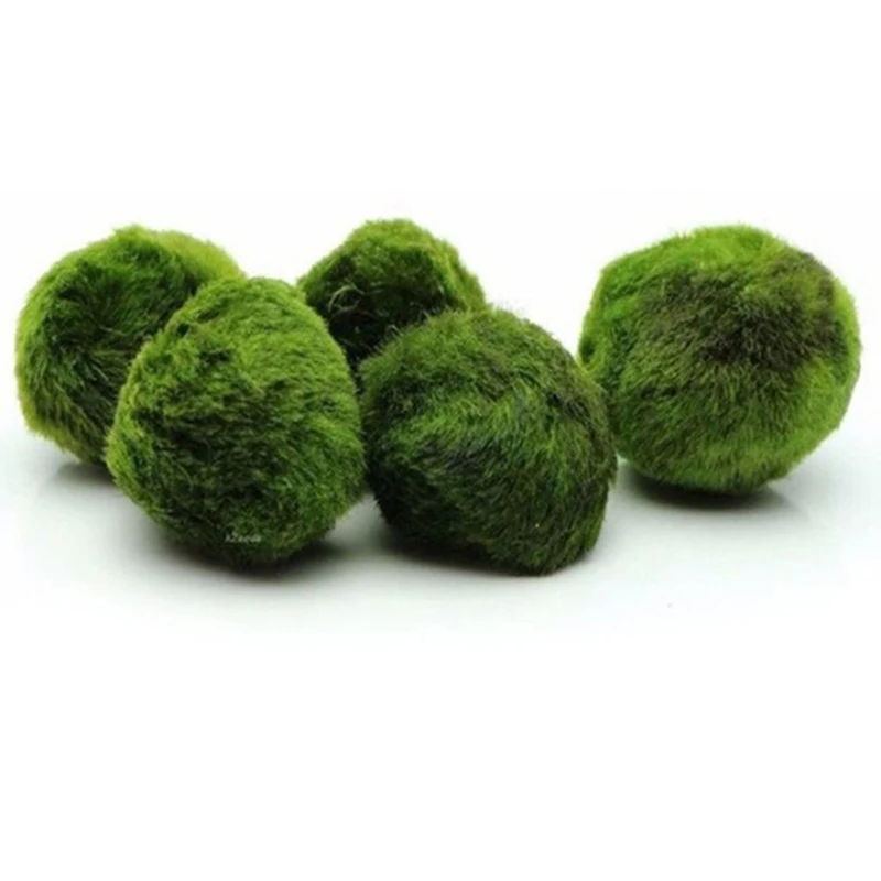 1 pièce Boules de mousse de 3- - Planted Aquarium Maintenance avis et prix