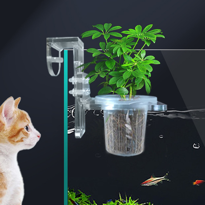 Gobelets de plantation d'aquar - Aquarium Planted Wall avis et prix