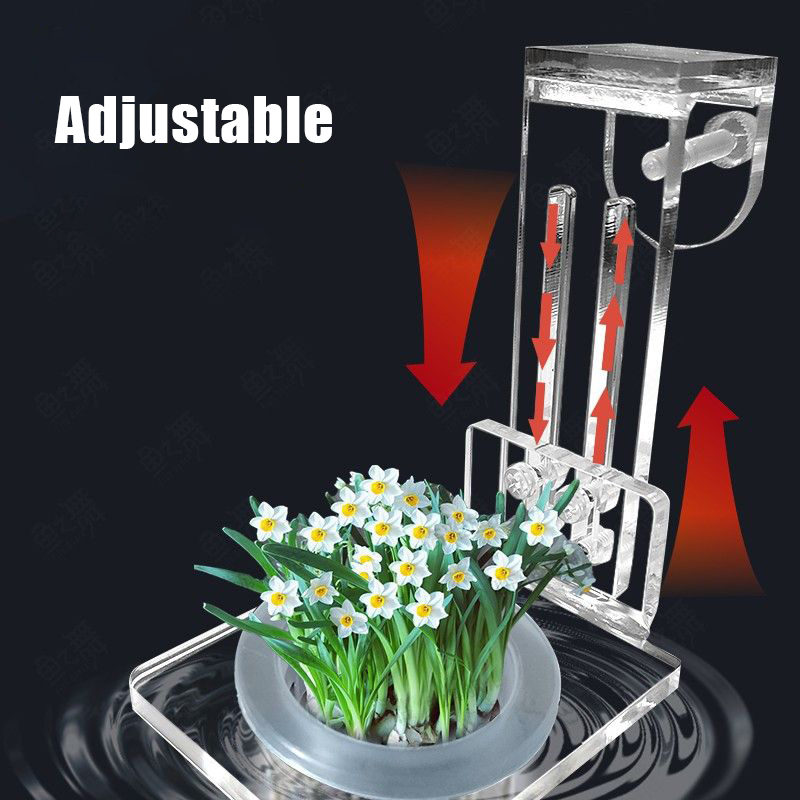Gobelets de plantation d'aquar - Aquarium Planted Wall avis et prix