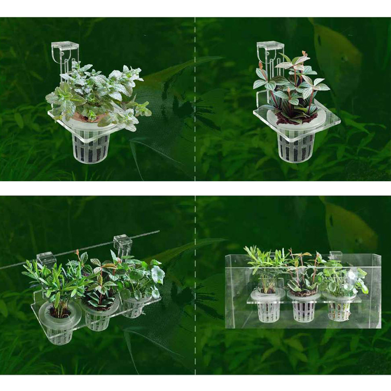 Gobelets de plantation d'aquar - Aquarium Planted Wall avis et prix