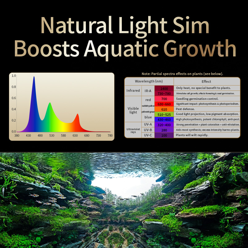 KASSRAY T200/T300 IR-A+UV Lumi - Planted Aquarium Uv Light avis et prix