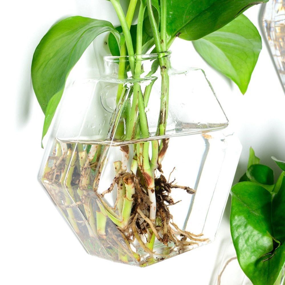 Vase mural suspendu en forme d - Aquarium Planted Wall avis et prix