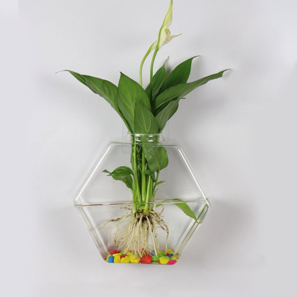 Vase mural suspendu en forme d - Aquarium Planted Wall avis et prix