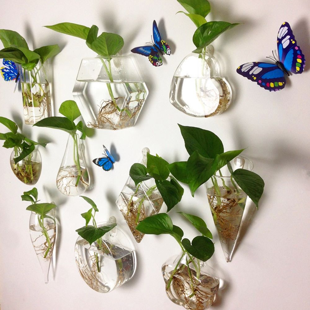 Vase mural suspendu en forme d - Aquarium Planted Wall avis et prix