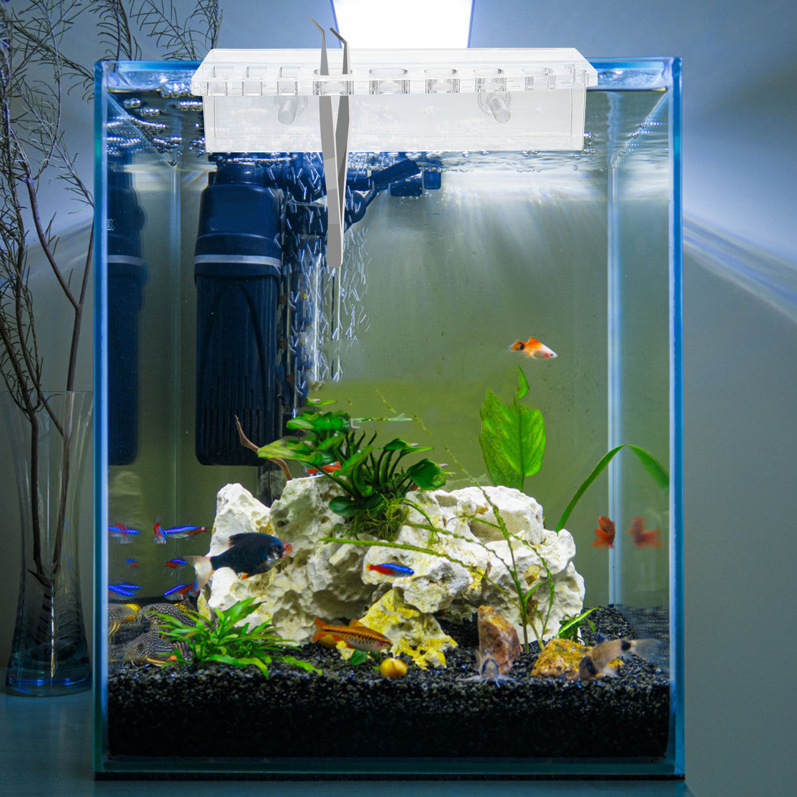 Support mural en acrylique pou - Aquarium Planted Wall avis et prix