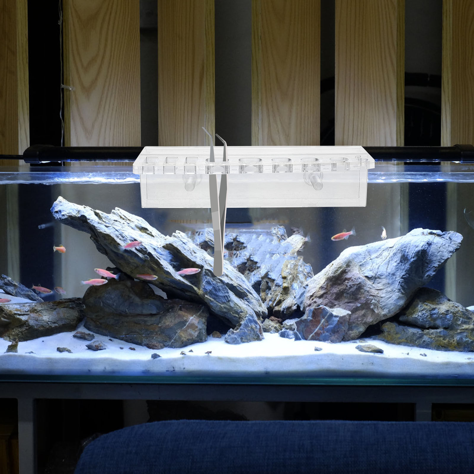 Support mural en acrylique pou - Aquarium Planted Wall avis et prix