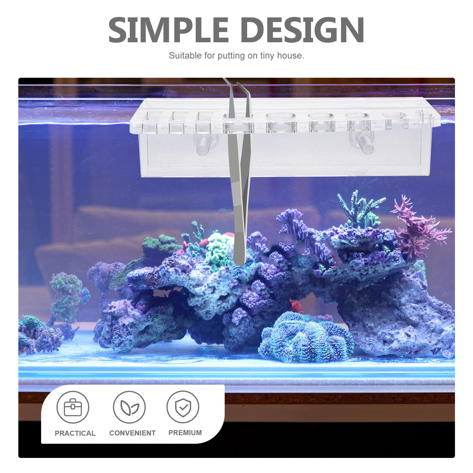 Support mural en acrylique pou - Aquarium Planted Wall avis et prix