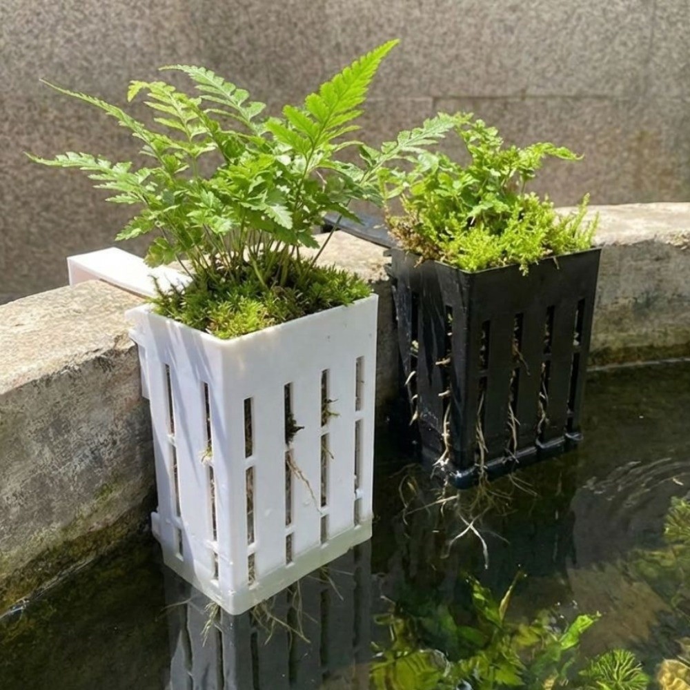 Panier mural pour plantes d'aq - Aquarium Planted Wall avis et prix