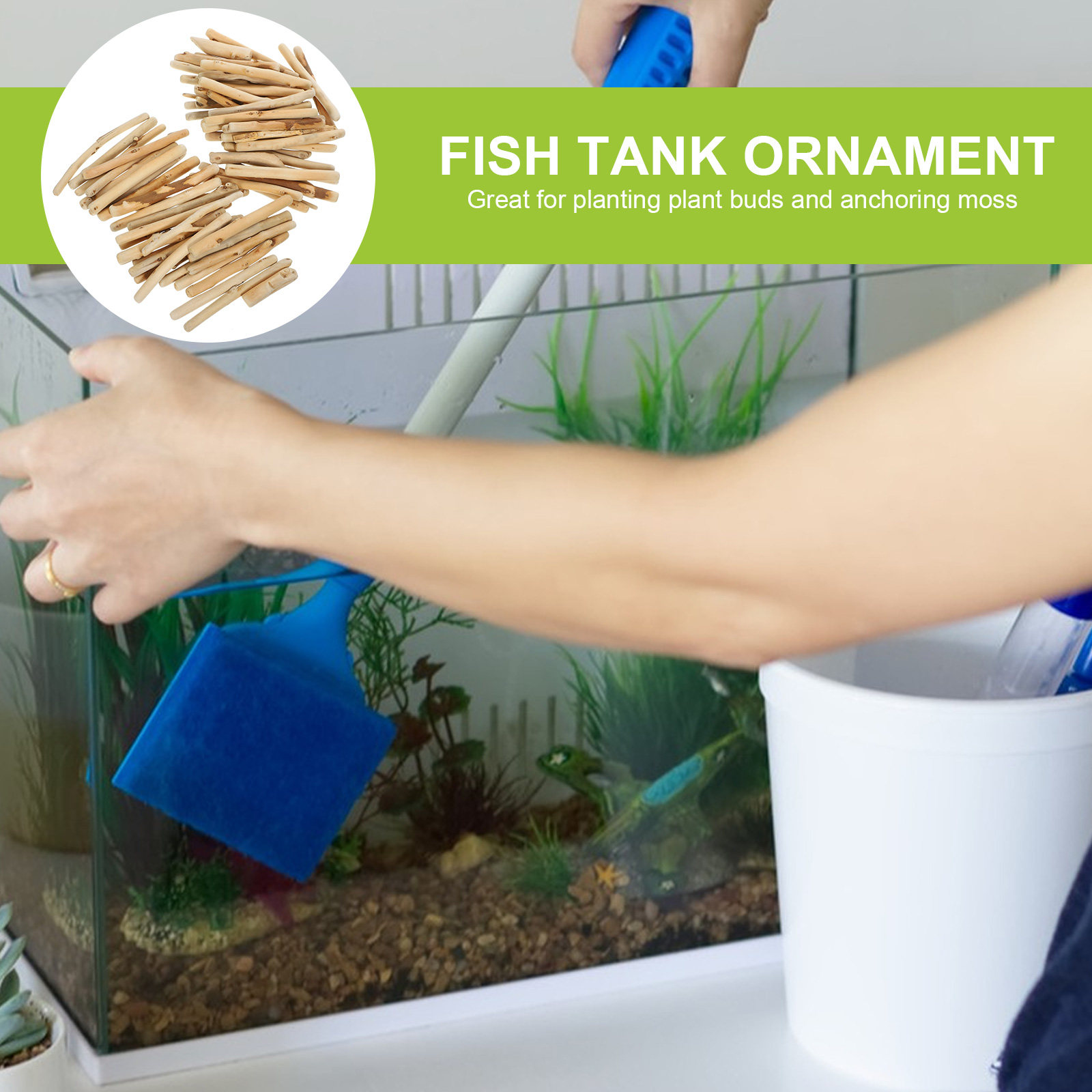 1 ensemble de décoration en bo - Planted Aquarium Ph avis et prix
