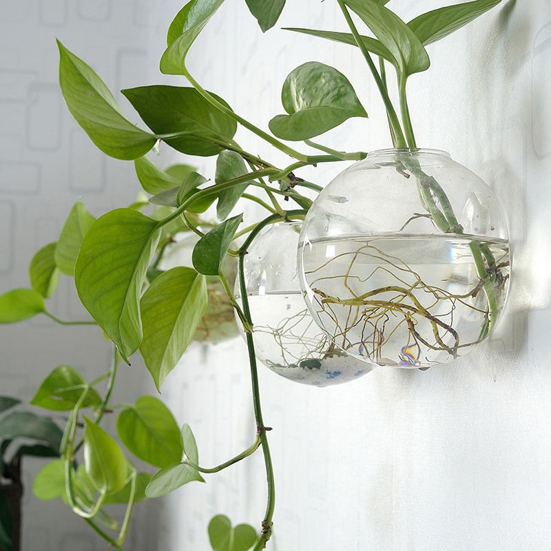 Bol à poisson mural en acryliq - Aquarium Planted Wall avis et prix