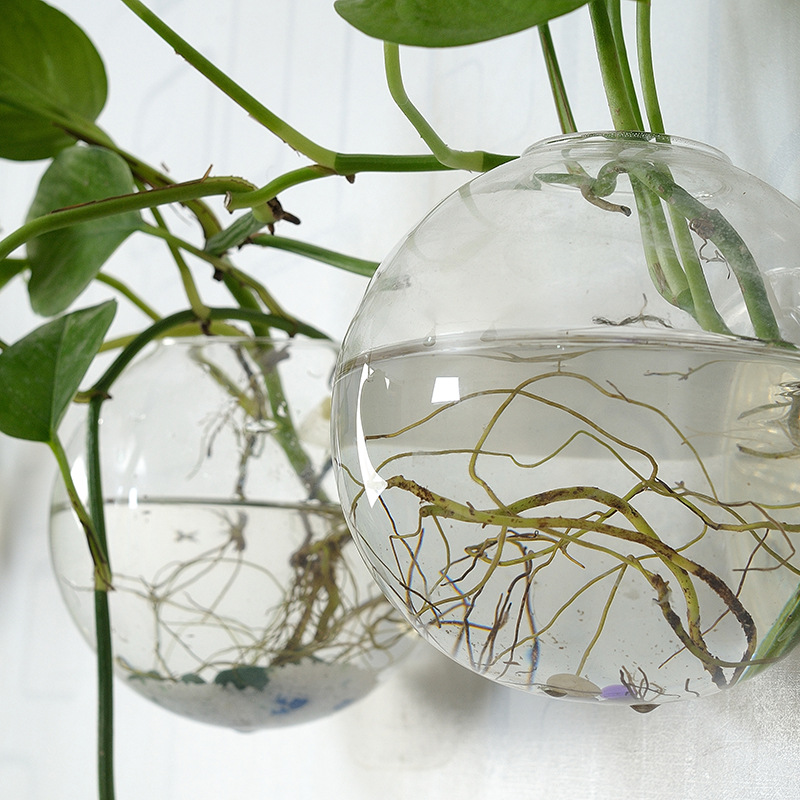 Bol à poisson mural en acryliq - Aquarium Planted Wall avis et prix