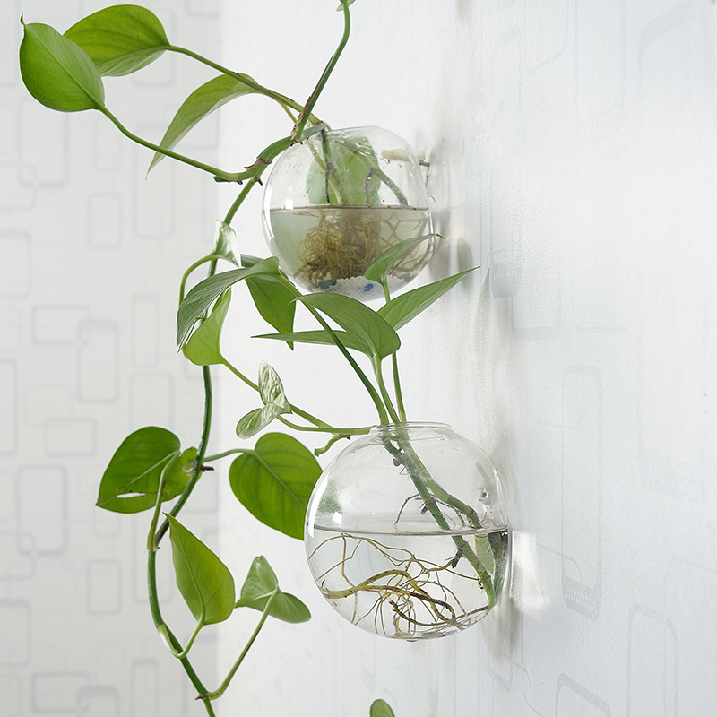 Bol à poisson mural en acryliq - Aquarium Planted Wall avis et prix