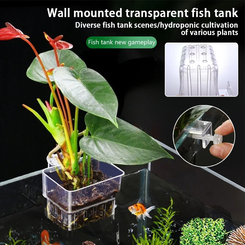 Pots suspendus pour aquarium,  - Aquarium Planted Wall avis et prix