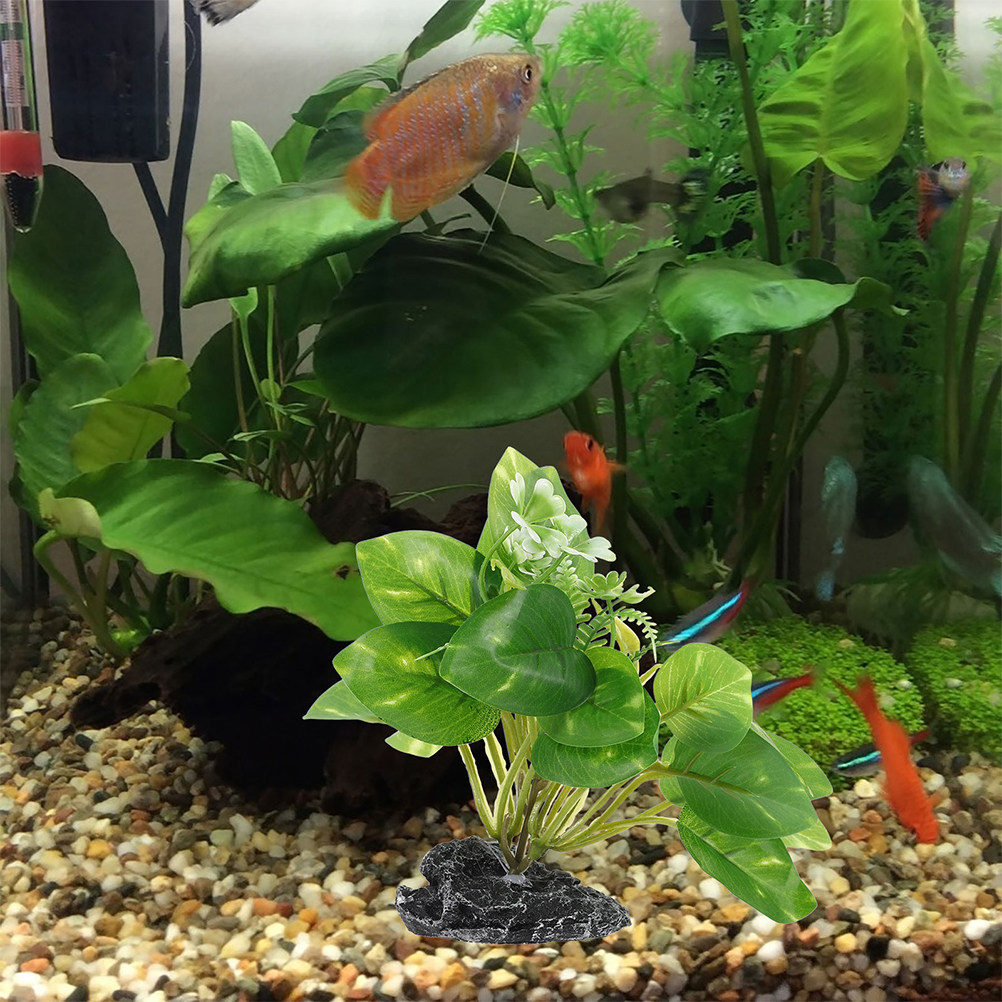 2 plantes aquatiques artificie - Planted Aquarium Maintenance avis et prix