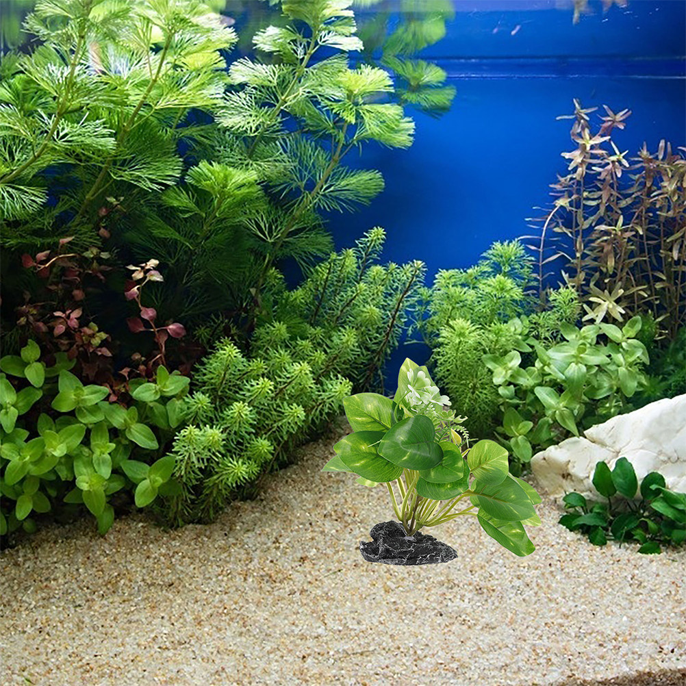 2 plantes aquatiques artificie - Planted Aquarium Maintenance avis et prix