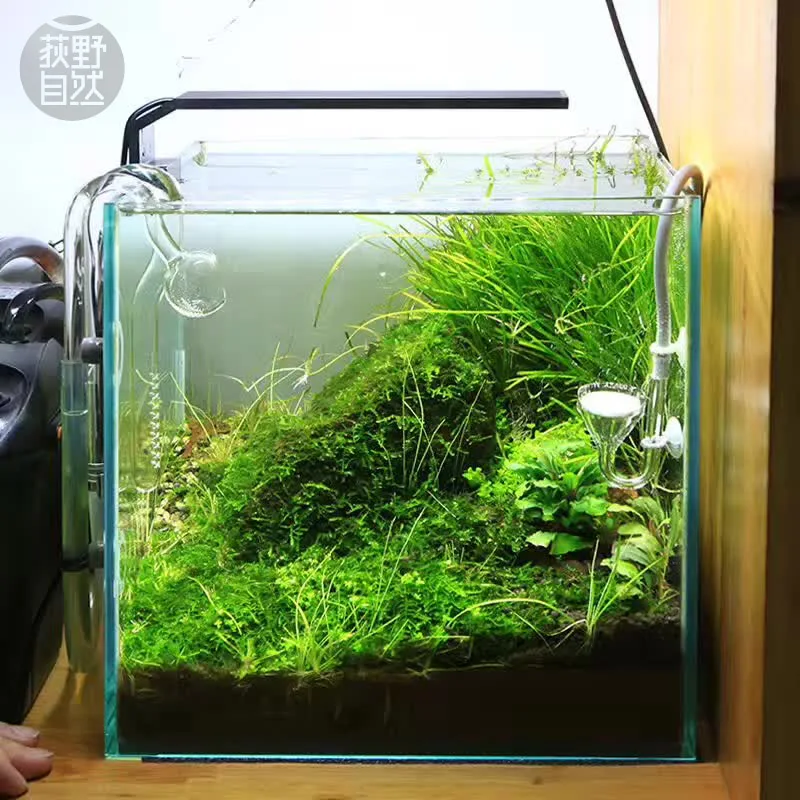 Chihiros série C ADA Style pla - Aquarium Plant Light avis et prix