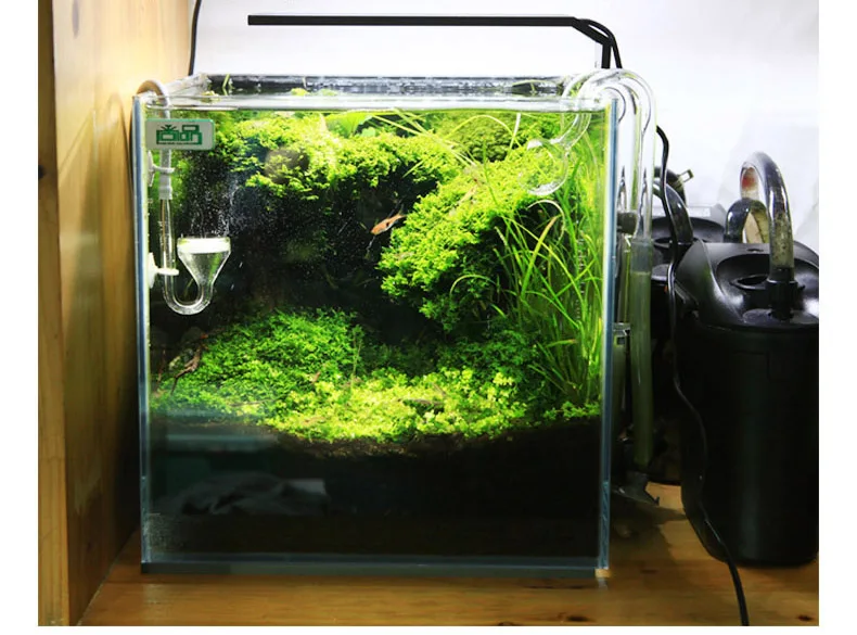 Chihiros série C ADA Style pla - Aquarium Plant Light avis et prix