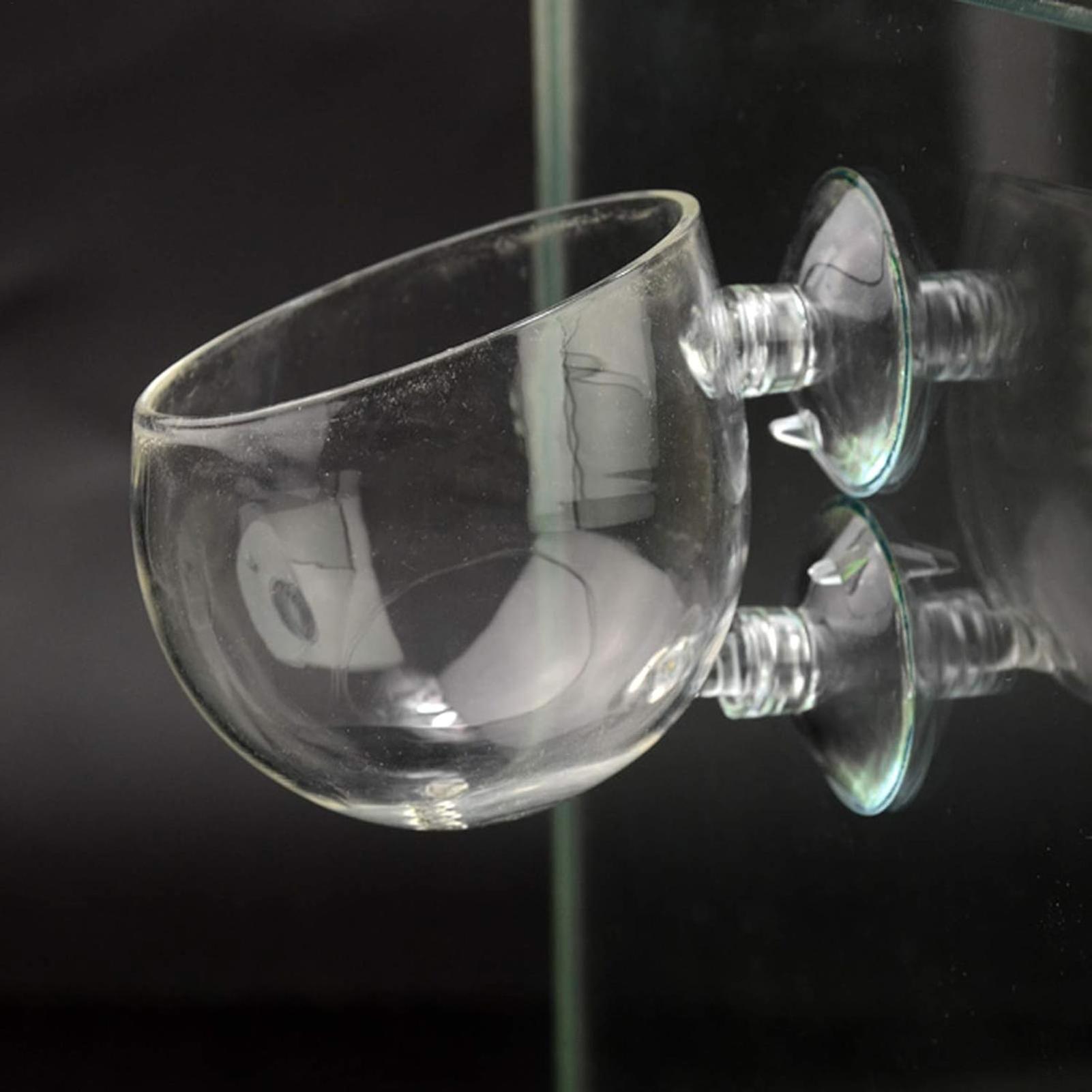 Pot de plantes en verre pour a - Planted Aquarium Maintenance avis et prix