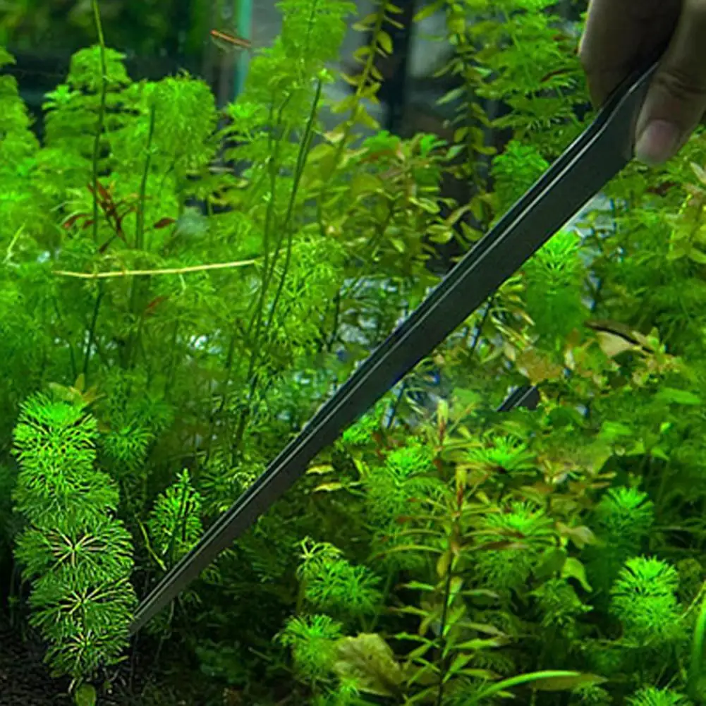 Pince à épiler universelle en  - Planted Aquarium Maintenance avis et prix