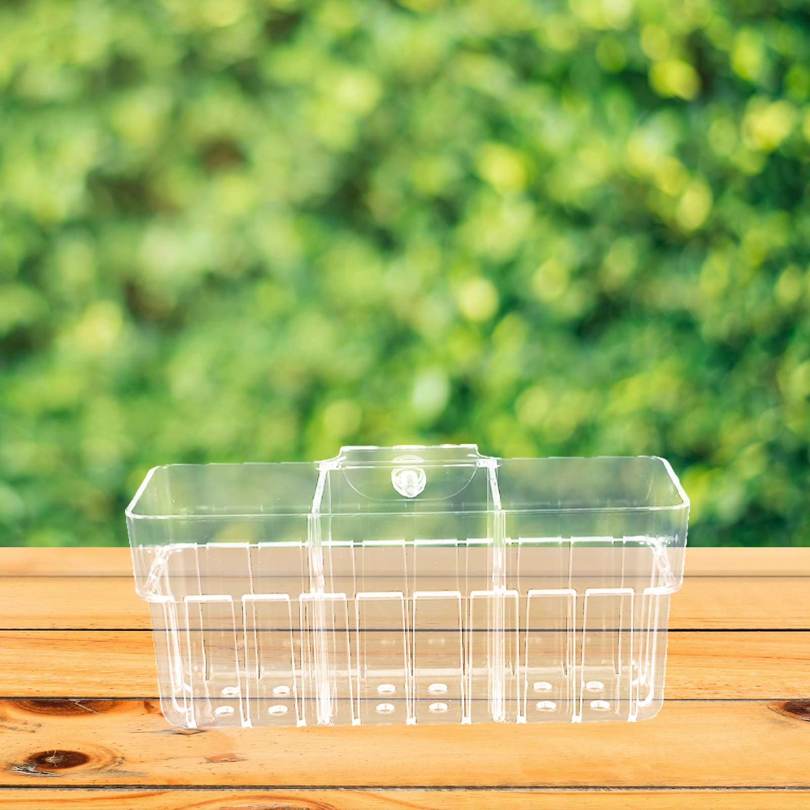 Panier hydroponique transparen - Aquarium Planted Wall avis et prix