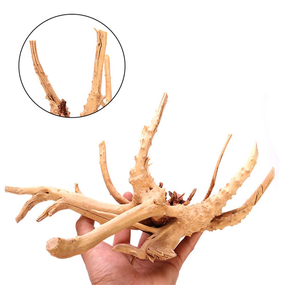Bois N1N aménagement paysager  - Aquarium Plant Roots avis et prix