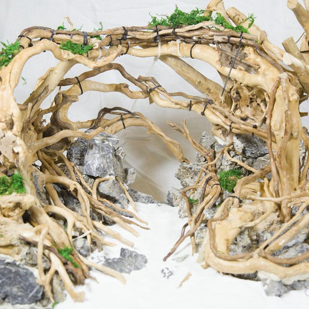 Bois N1N aménagement paysager  - Aquarium Plant Roots avis et prix