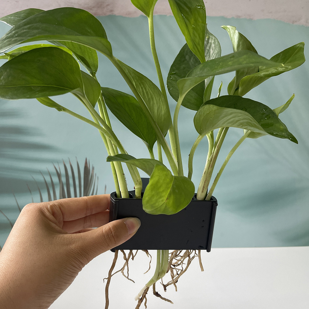 Support pour plantes d'aquariu - Planted Aquarium Maintenance avis et prix