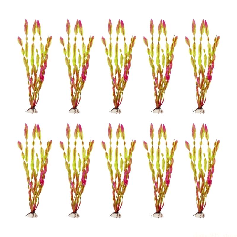 QX2E 10 pièces spirales plante - Planted Aquarium Maintenance avis et prix