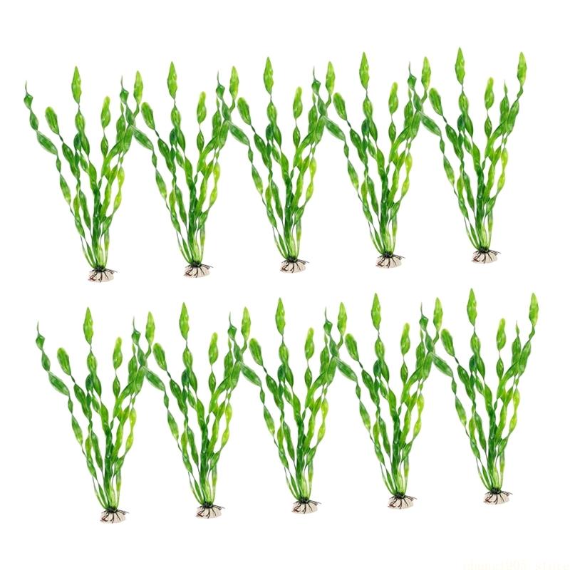 QX2E 10 pièces spirales plante - Planted Aquarium Maintenance avis et prix